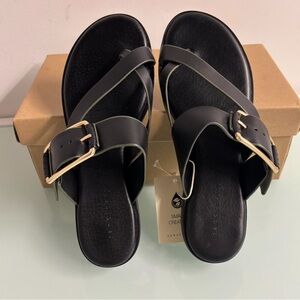 Sanctuary Black Sandals with Gold Accents